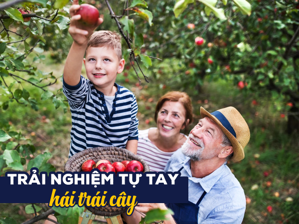 TOUR ÚC ĐẶC BIỆT - HÀ NỘI /TP.HCM- SYDNEY – MELBOURNE TRẢI NGHIỆM HÁI TRÁI CÂY PHÙ HỢP NGƯỜI MUỐN TÌM HIỂU TRƯỚC CUỘC SỐNG Ở ÚC 