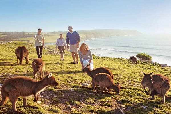 TOUR ÚC -NEW ZEALAND 2026 9 NGÀY 8 ĐÊM TỪ HÀ NỘI TRỌN GÓI GIÁ RẺ - MELBOURNE - AUCKLAND – ROTORUA – SYDNEY