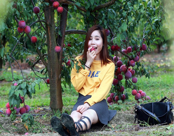 LÀM FARM ÚC DỄ HAY KHÓ VỚI NGƯỜI VIỆT - NHỮNG ĐIỀU CƠ BẢN NÊN BIẾT TRƯỚC KHI LỰA CHỌN CÔNG VIỆC NÀY 