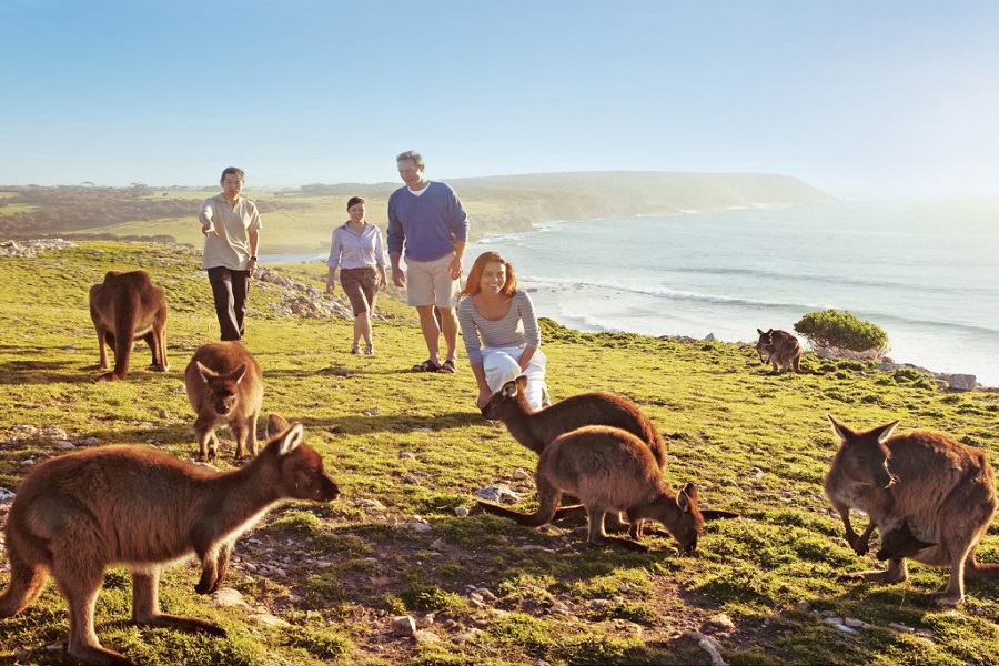 VISA DU LỊCH ÚC THEO TOUR CÓ DỄ  ĐẬU TOUR ÚC (AUSTRALIA) 2026-2027 BAY THẲNG TIẾT KIỆM THỜI GIAN CHI PHÍ TỪ HÀ NỘI MELBOURNE CANBERRA SYDNEY 8N7Đ